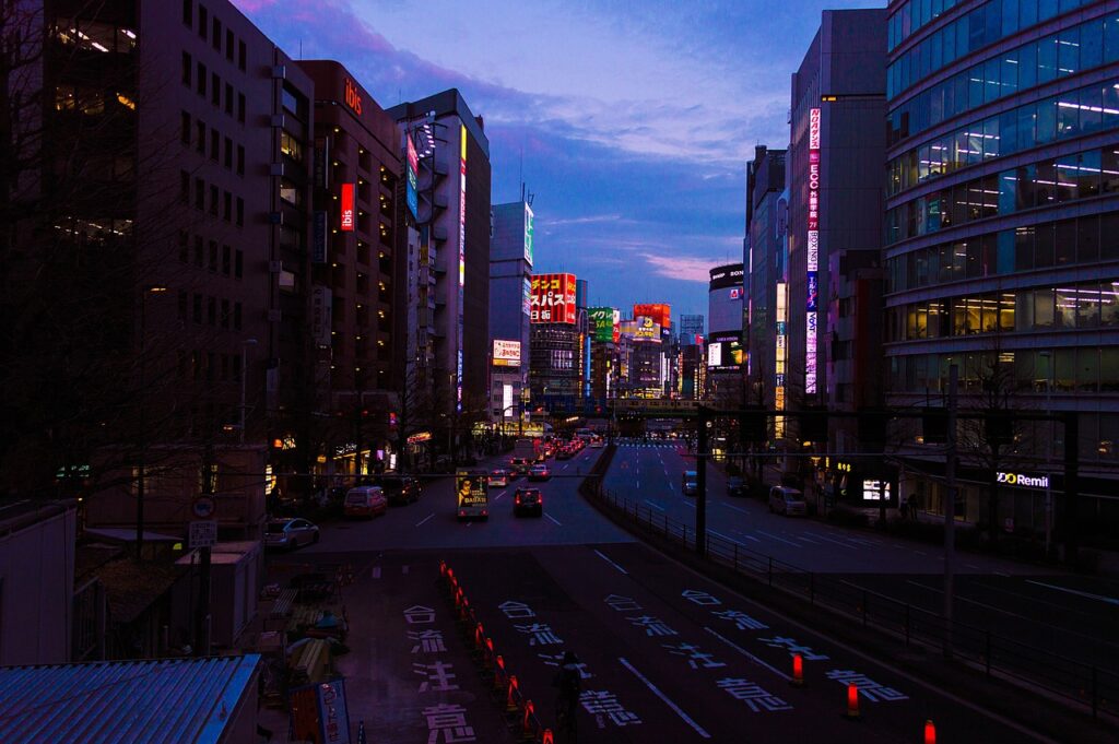Roads at Night in Shinjuku